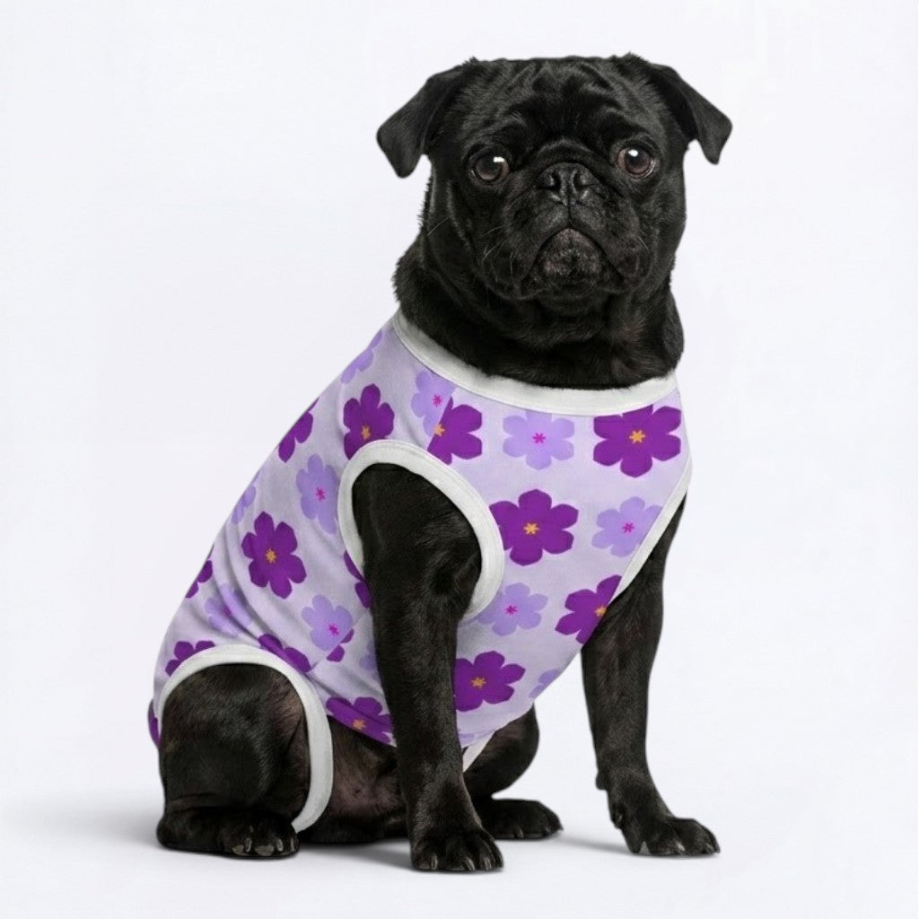 Onyx - Pug Surgery Recovery Suit