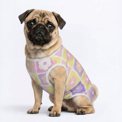 Titan Pug Surgery Recovery Suit