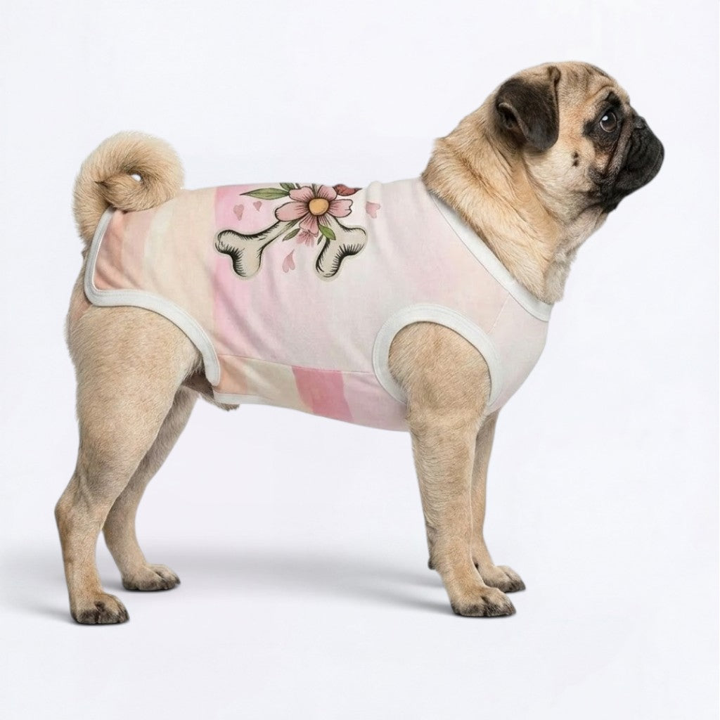 Pumpkin - Pug Surgery Recovery Suit