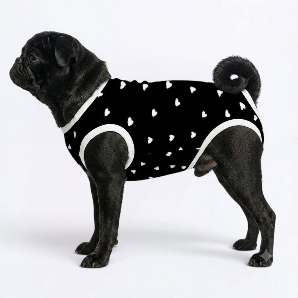 Trixie - Pug Surgery Recovery Suit