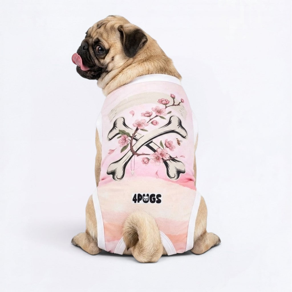 Pumpkin - Pug Surgery Recovery Suit