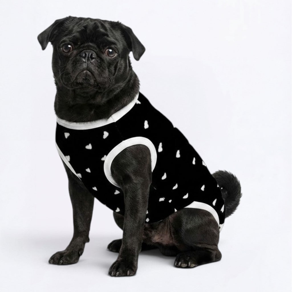 Trixie - Pug Surgery Recovery Suit