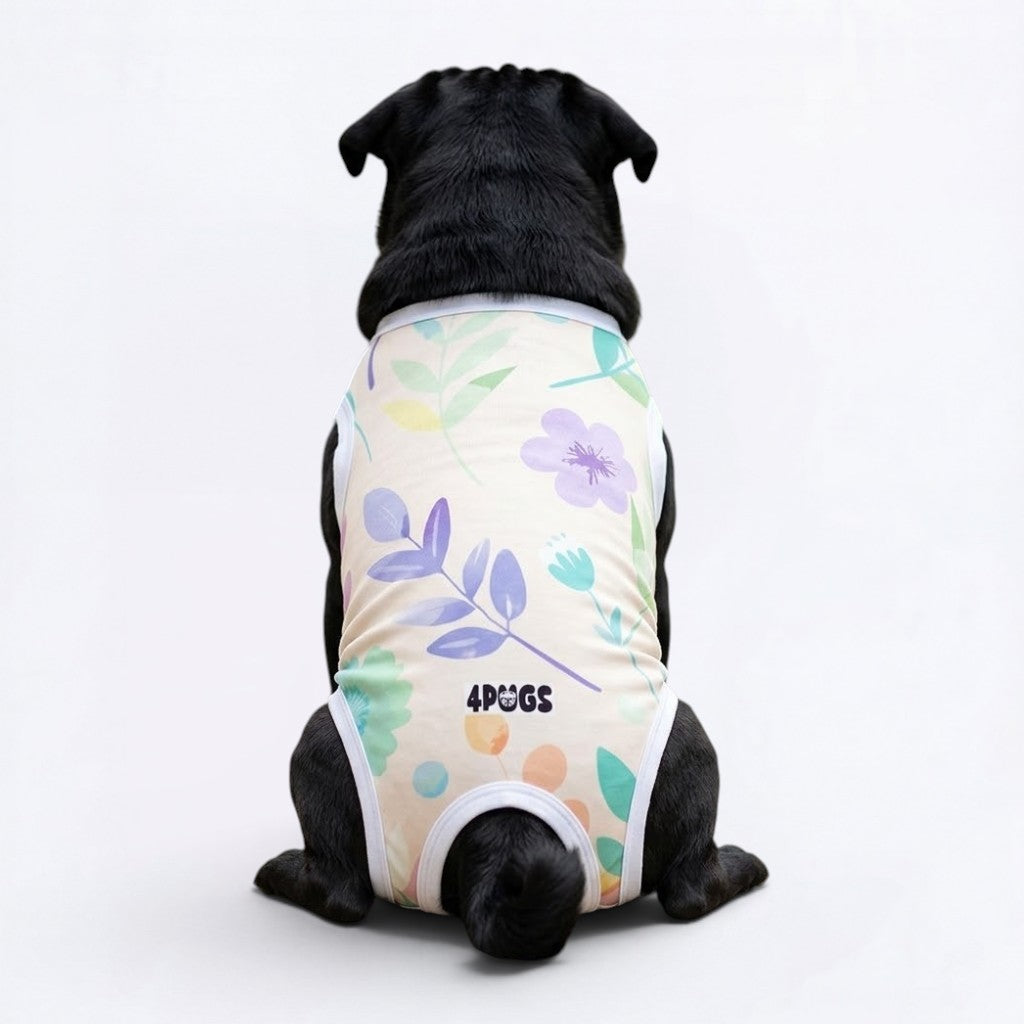 Sable - Pug Surgery Recovery Suit
