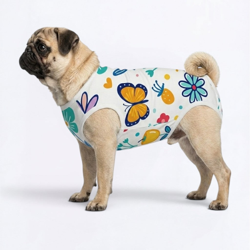 Pearl - Pug Surgery Recovery Suit