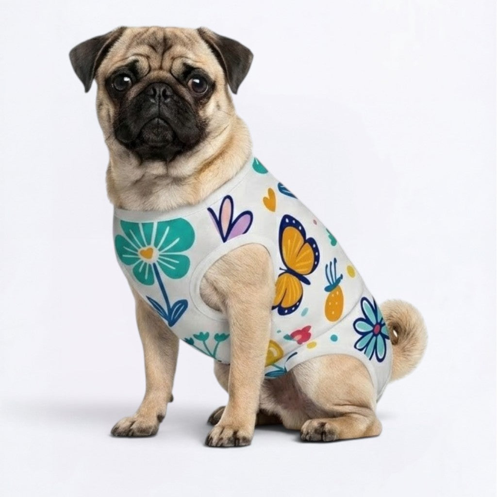 Pearl - Pug Surgery Recovery Suit