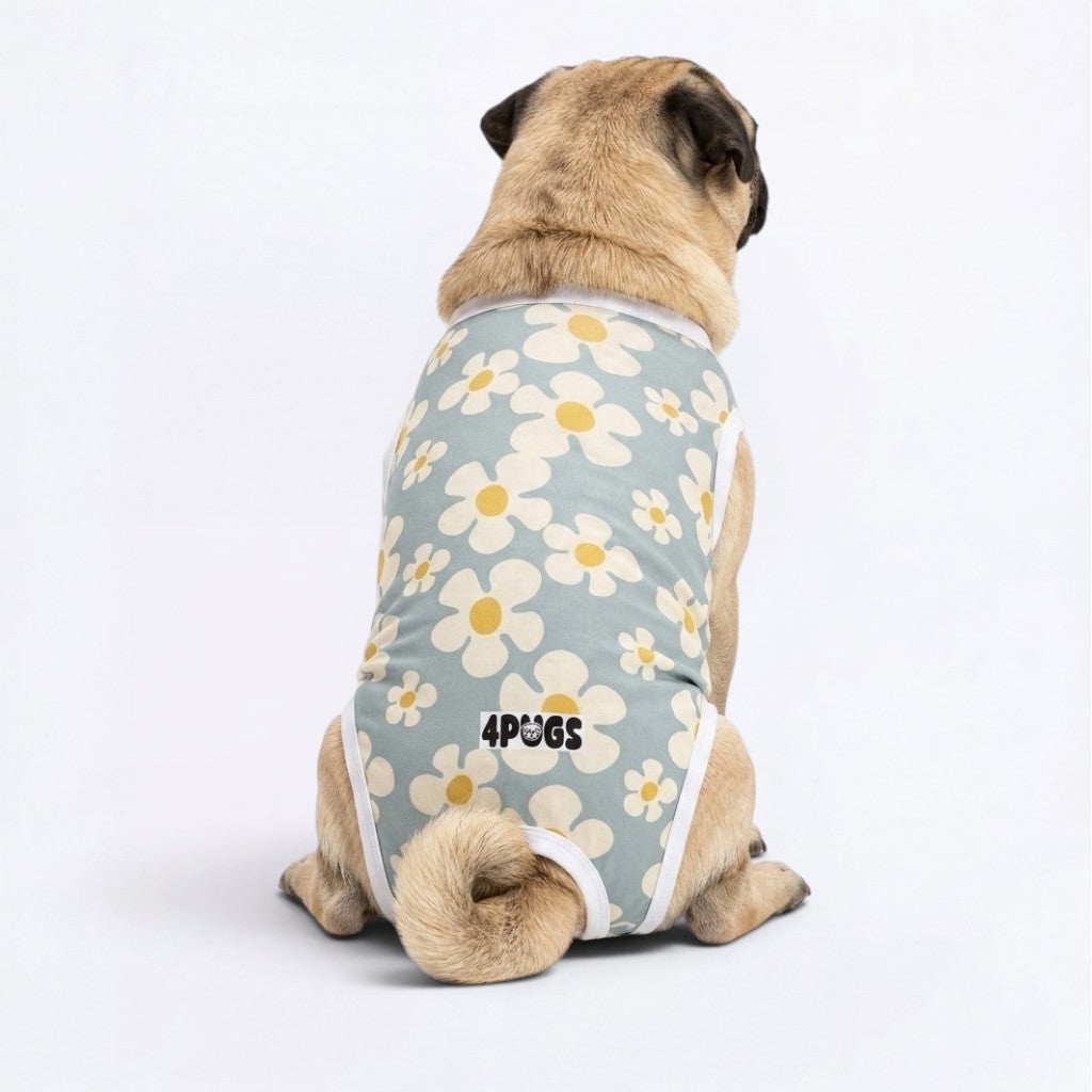 Kira - Pug Surgery Recovery Suit