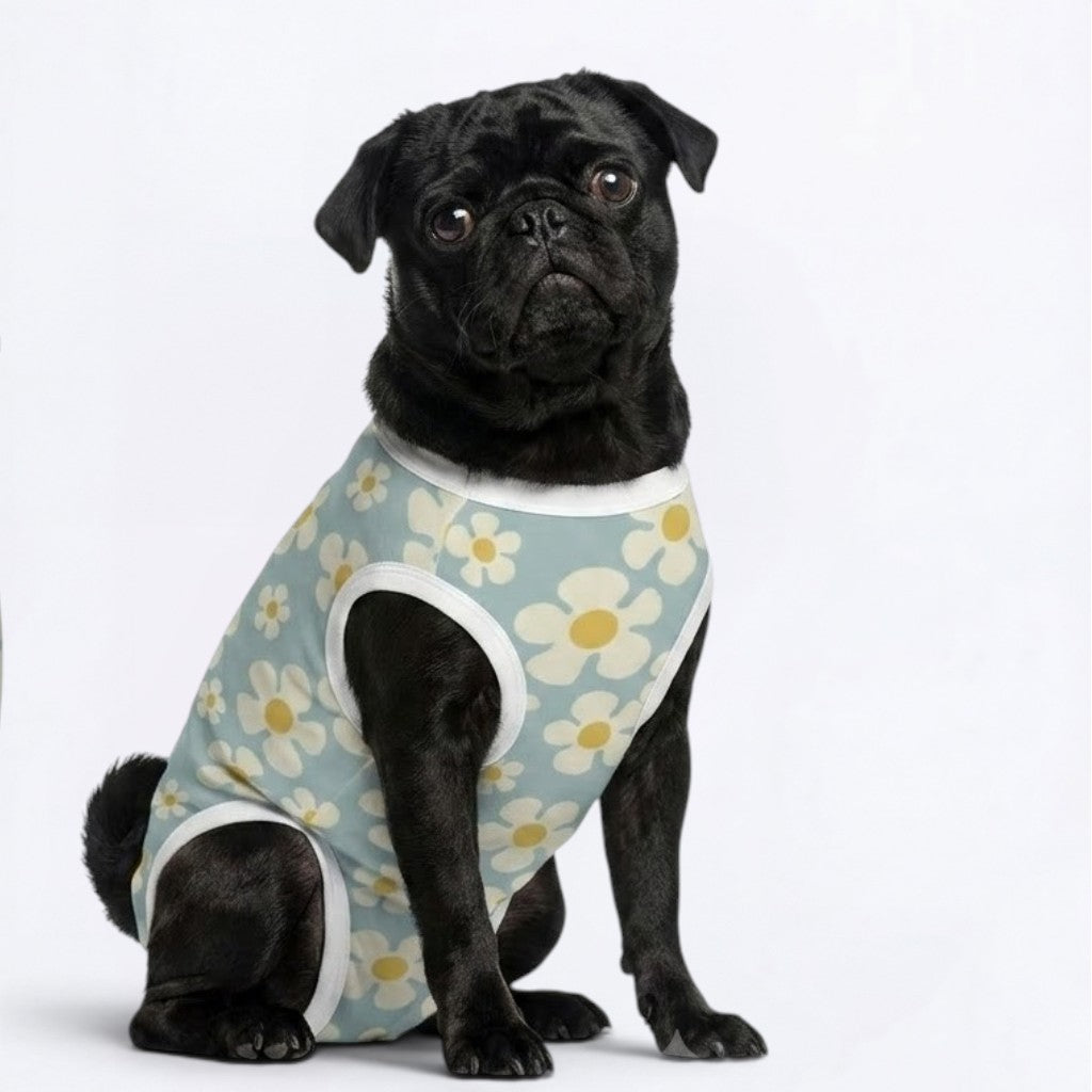 Kira - Pug Surgery Recovery Suit