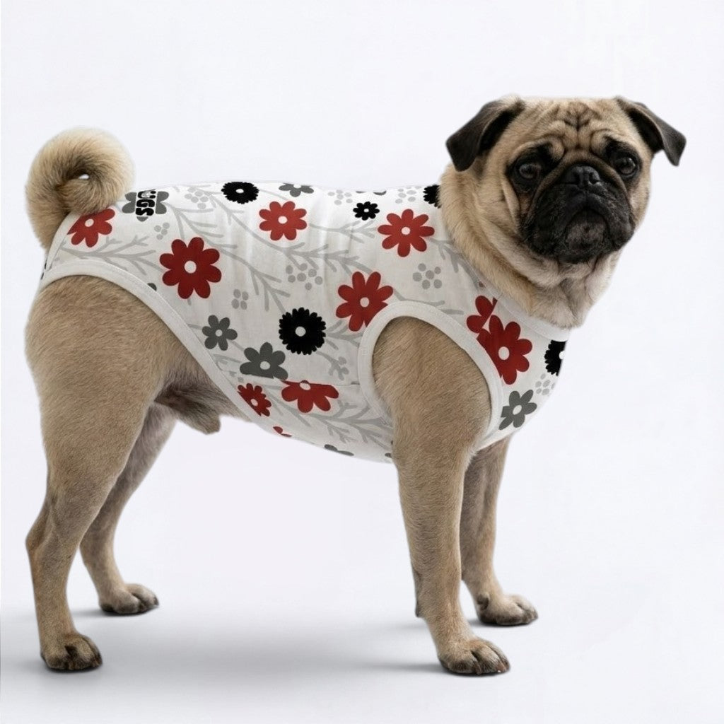 Belle - Pug Surgery Recovery Suit