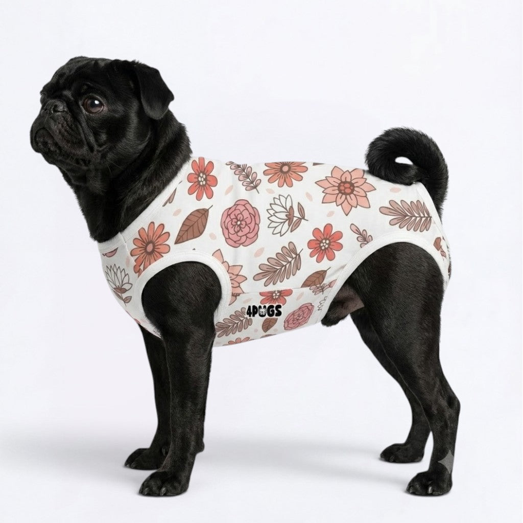 Remy - Pug Surgery Recovery Suit