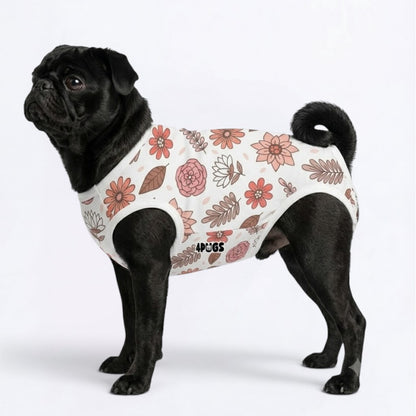 Remy - Pug Surgery Recovery Suit