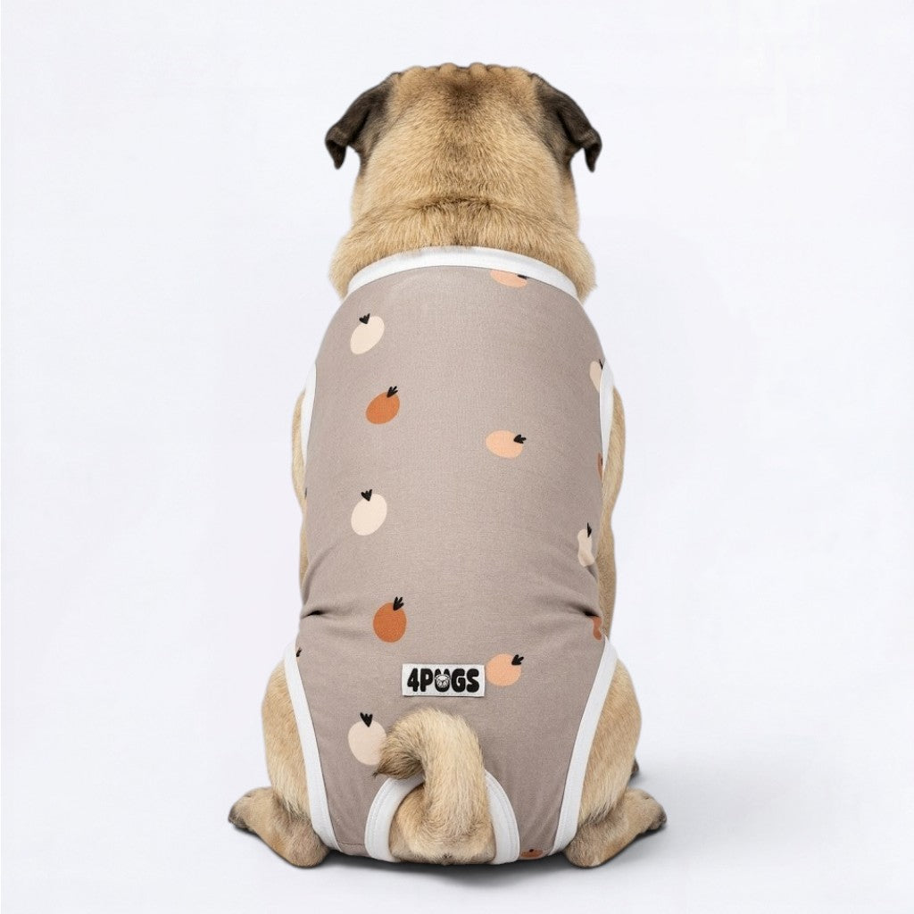 Hugo - Pug Surgery Recovery Suit