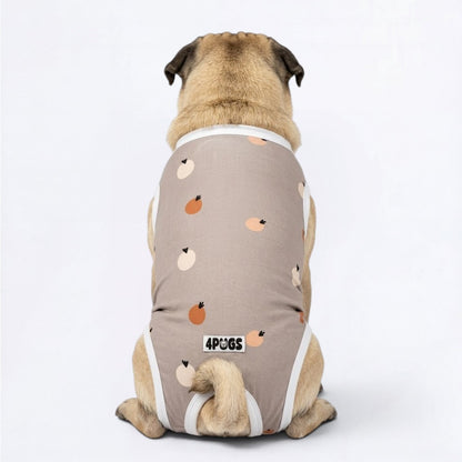 Hugo - Pug Surgery Recovery Suit