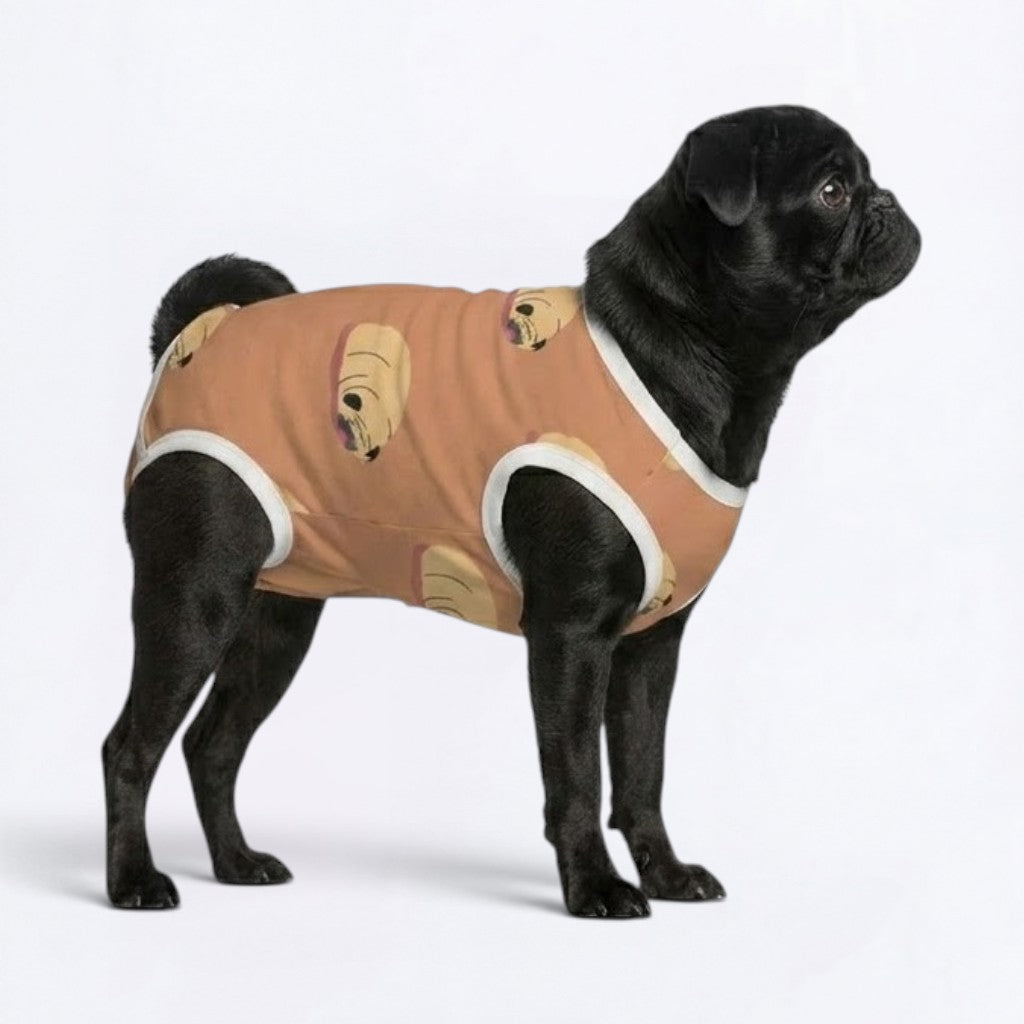 Bruno - Pug Surgery Recovery Suit