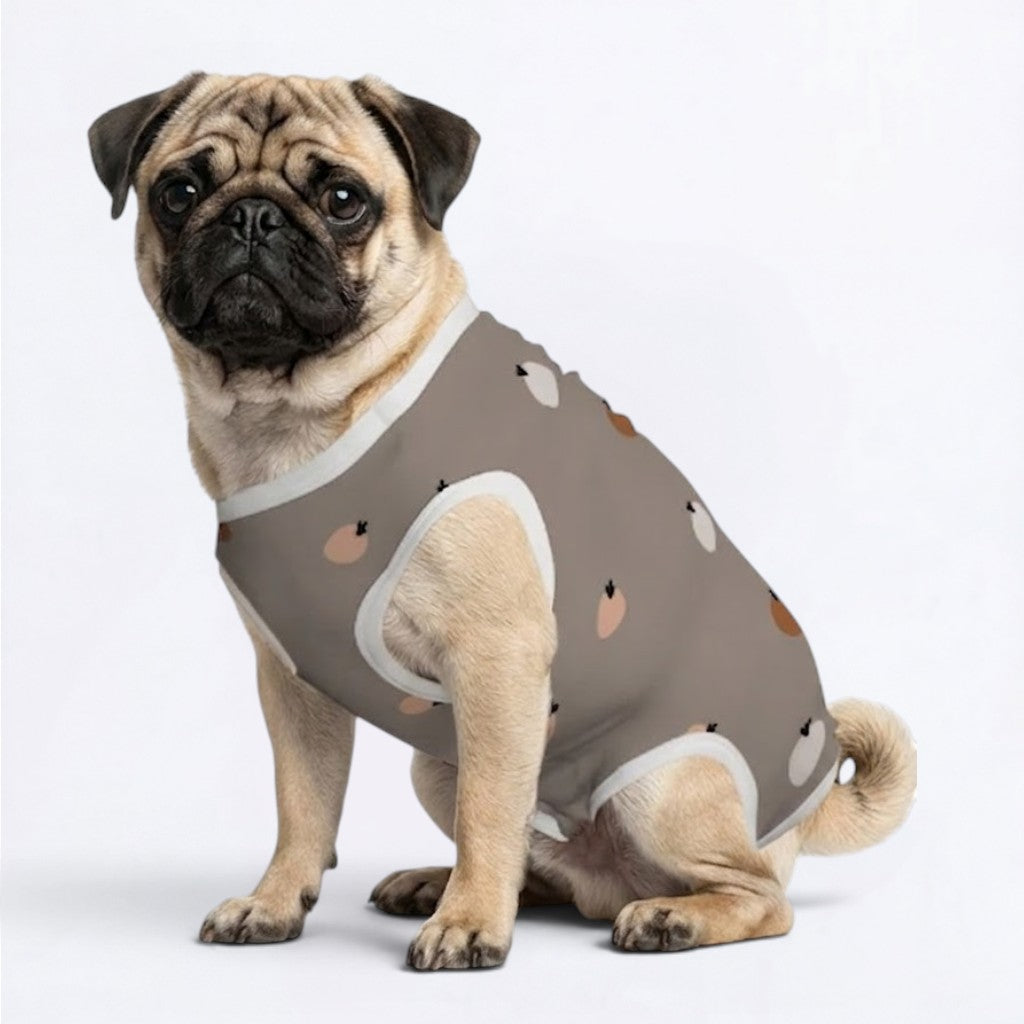 Hugo - Pug Surgery Recovery Suit