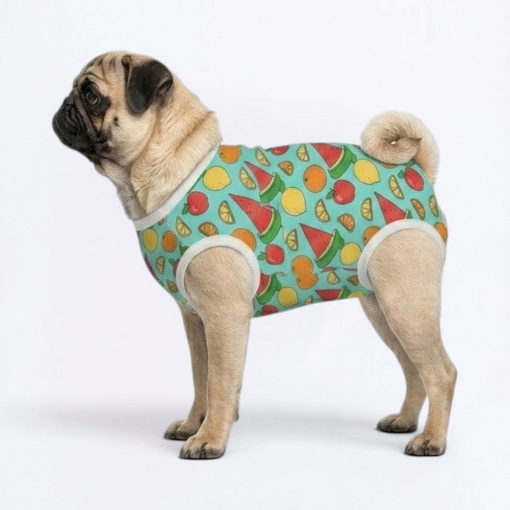 Blossom - Pug Surgery Recovery Suit