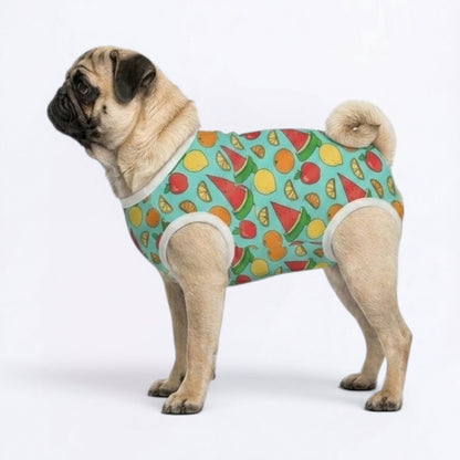 Blossom - Pug Surgery Recovery Suit