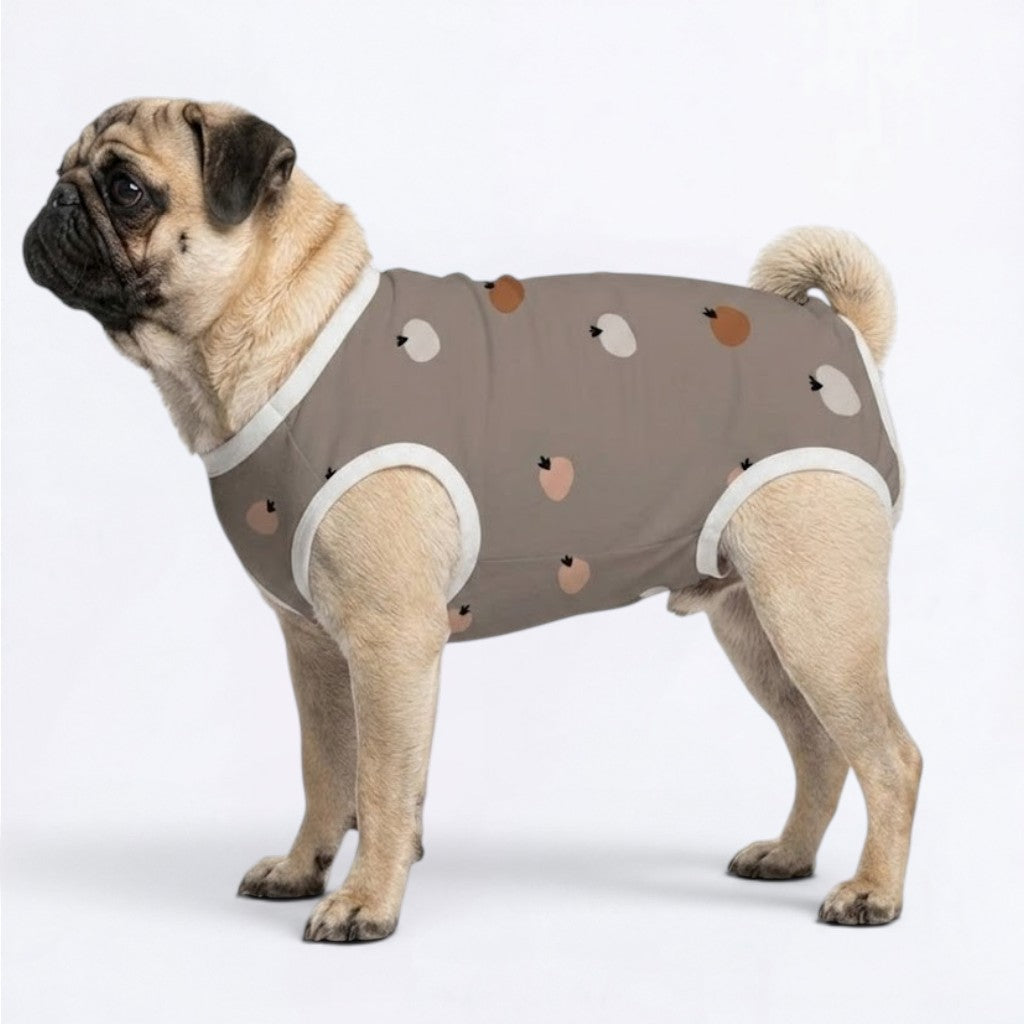 Hugo - Pug Surgery Recovery Suit