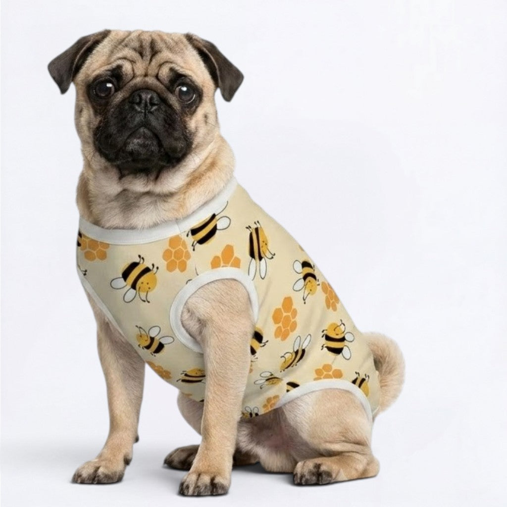 Nori - Pug Surgery Recovery Suit