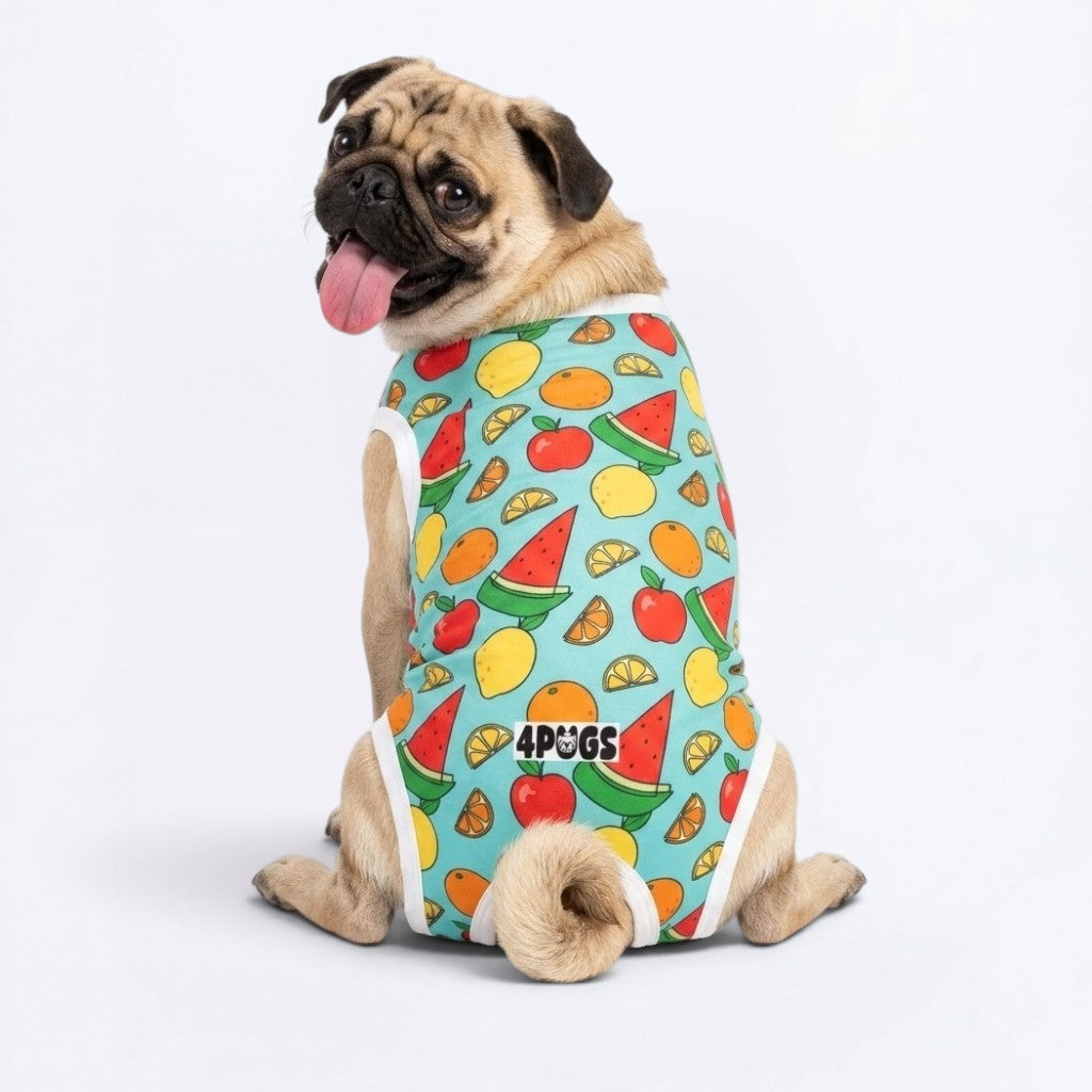 Blossom - Pug Surgery Recovery Suit