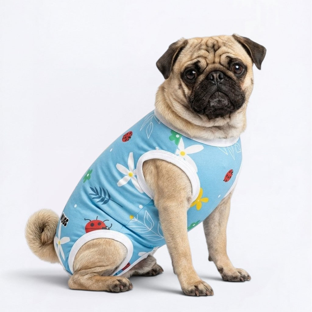 Zina - Pug Surgery Recovery Suit