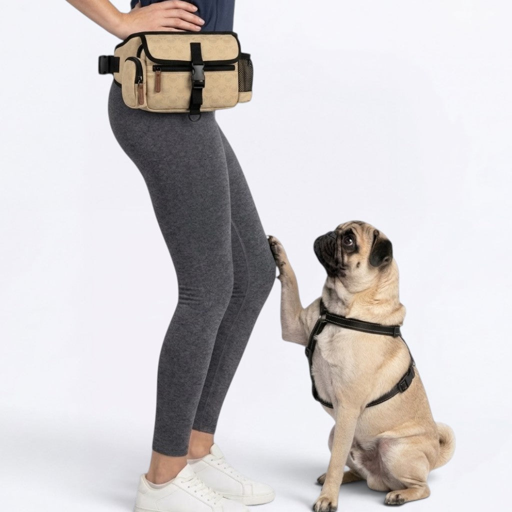 Murphy - Pug Treat Training Pouch | Outdoor Storage Waist Bag