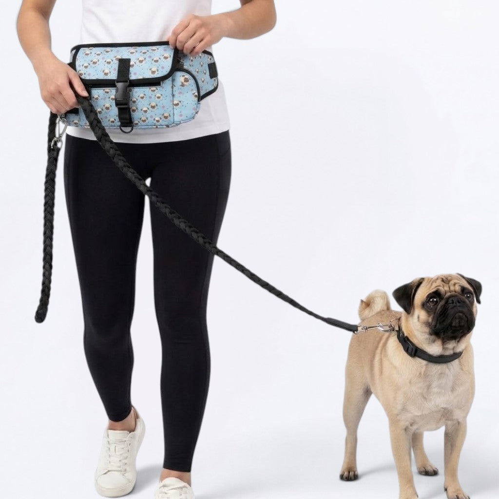 Hank - Pug Treat Training Pouch | Outdoor Storage Waist Bag