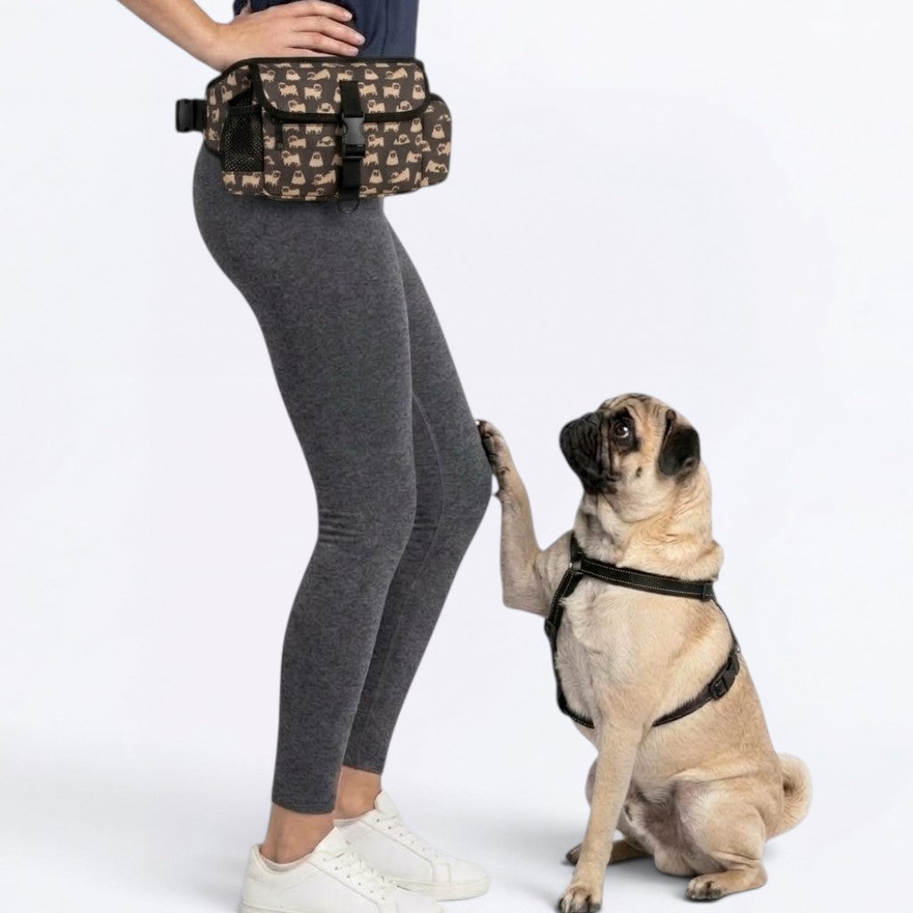 Nova - Pug Treat Training Pouch | Outdoor Storage Waist Bag