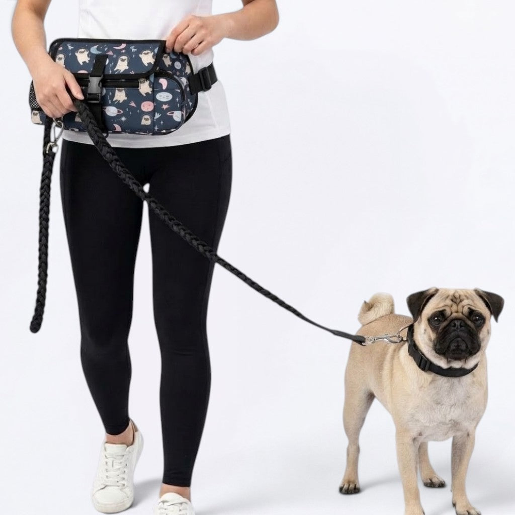 Jack - Pug Treat Training Pouch | Outdoor Storage Waist Bag