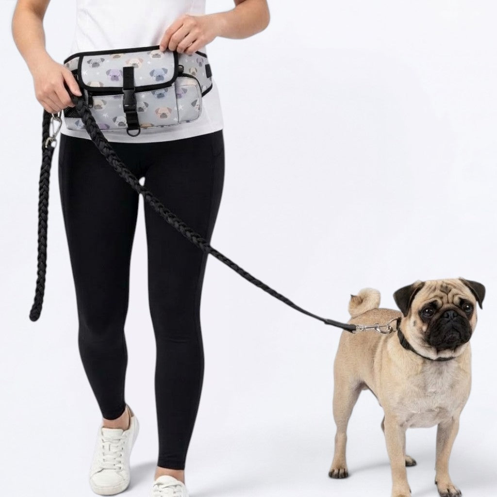 Pixie - Pug Treat Training Pouch | Portable Bait Bag with Waist Clip