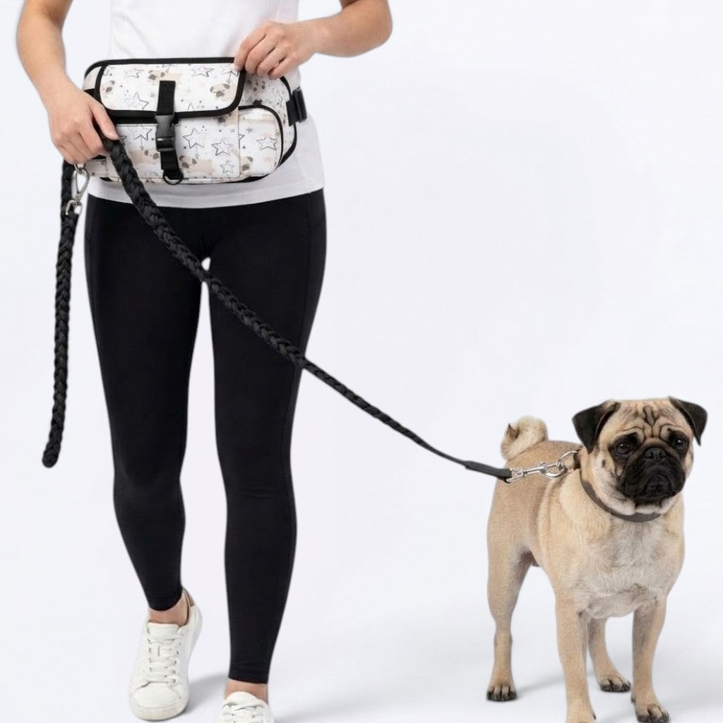 Indigo - Pug Treat Training Pouch | Outdoor Storage Waist Bag
