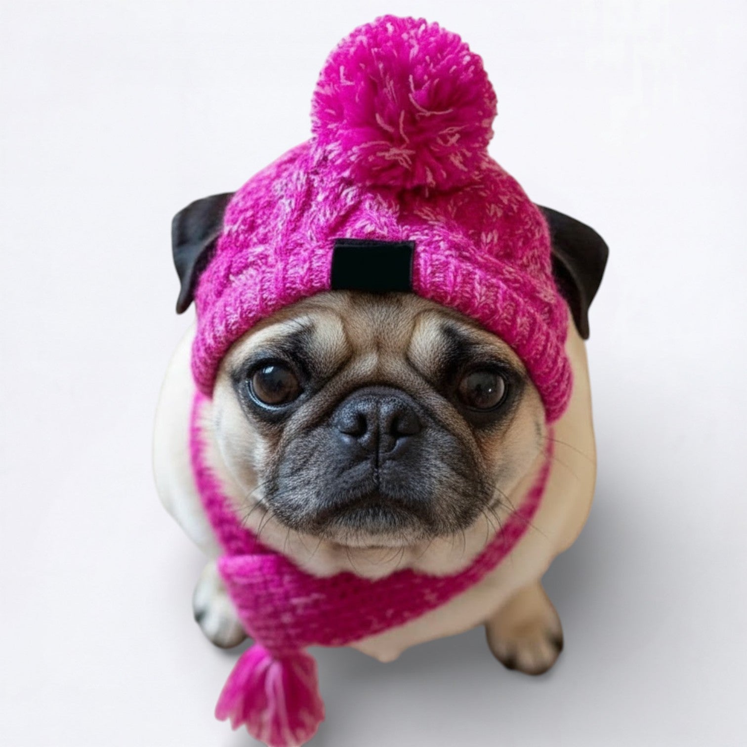 Puggly-Pug-Winter-Hat.jpg