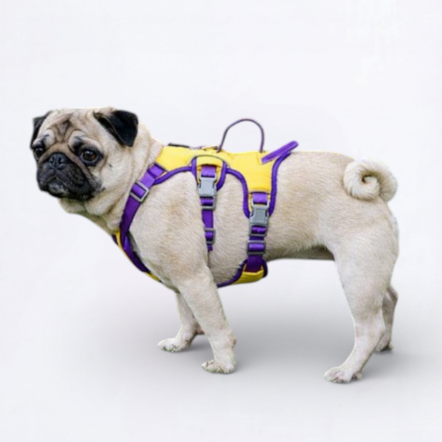 Puggo-Pug-No-Pull-Harness.jpg