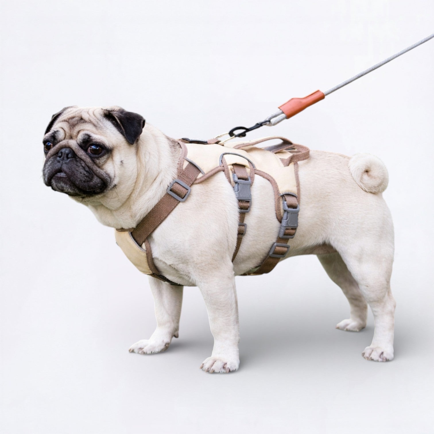 Puggo-Pug-No-Pull-Harness.jpg