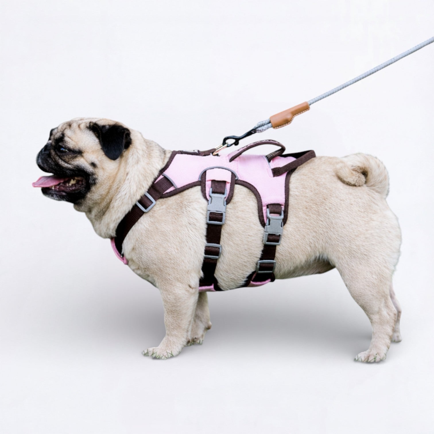 Puggo-Pug-No-Pull-Harness.jpg