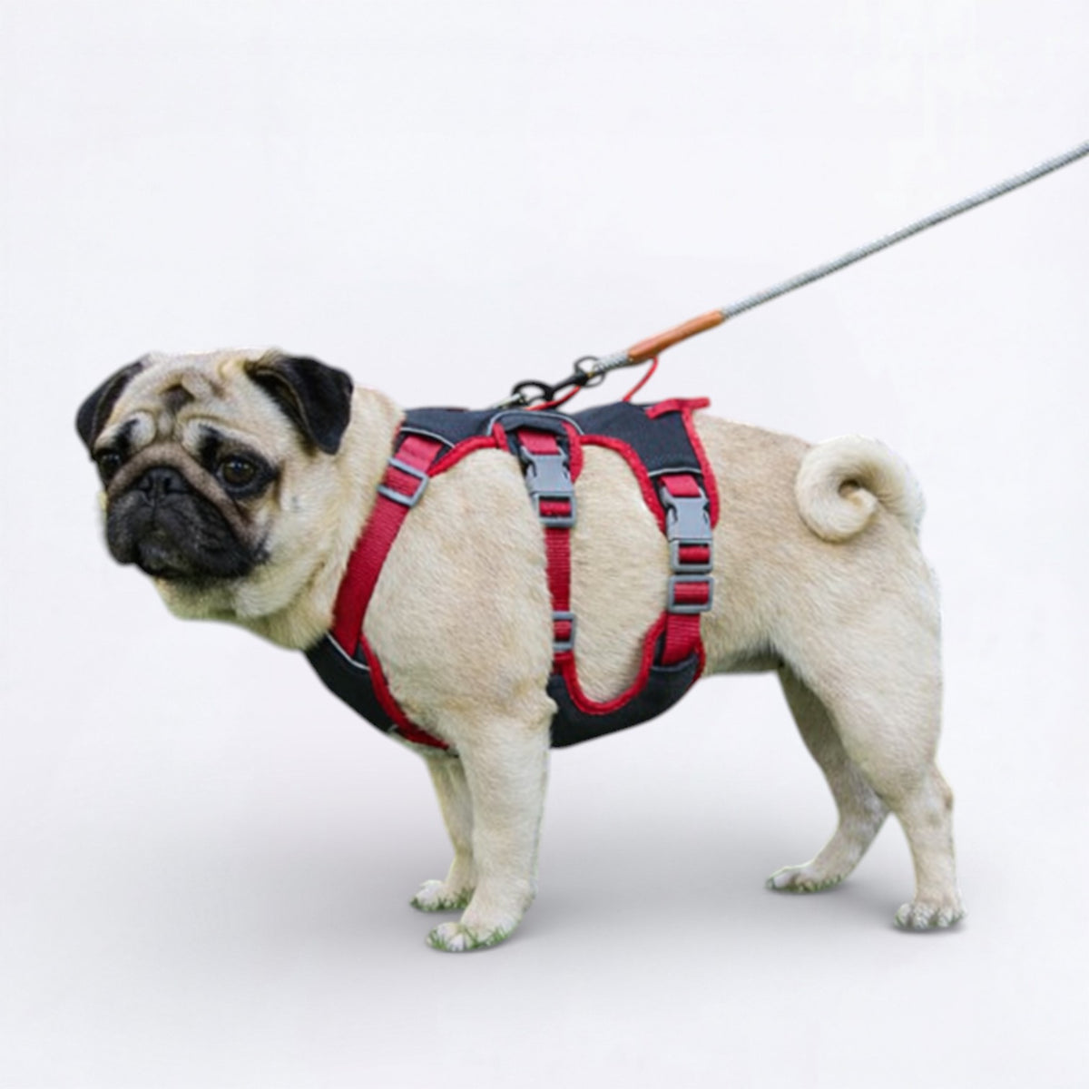 Puggo-Pug-No-Pull-Harness.jpg