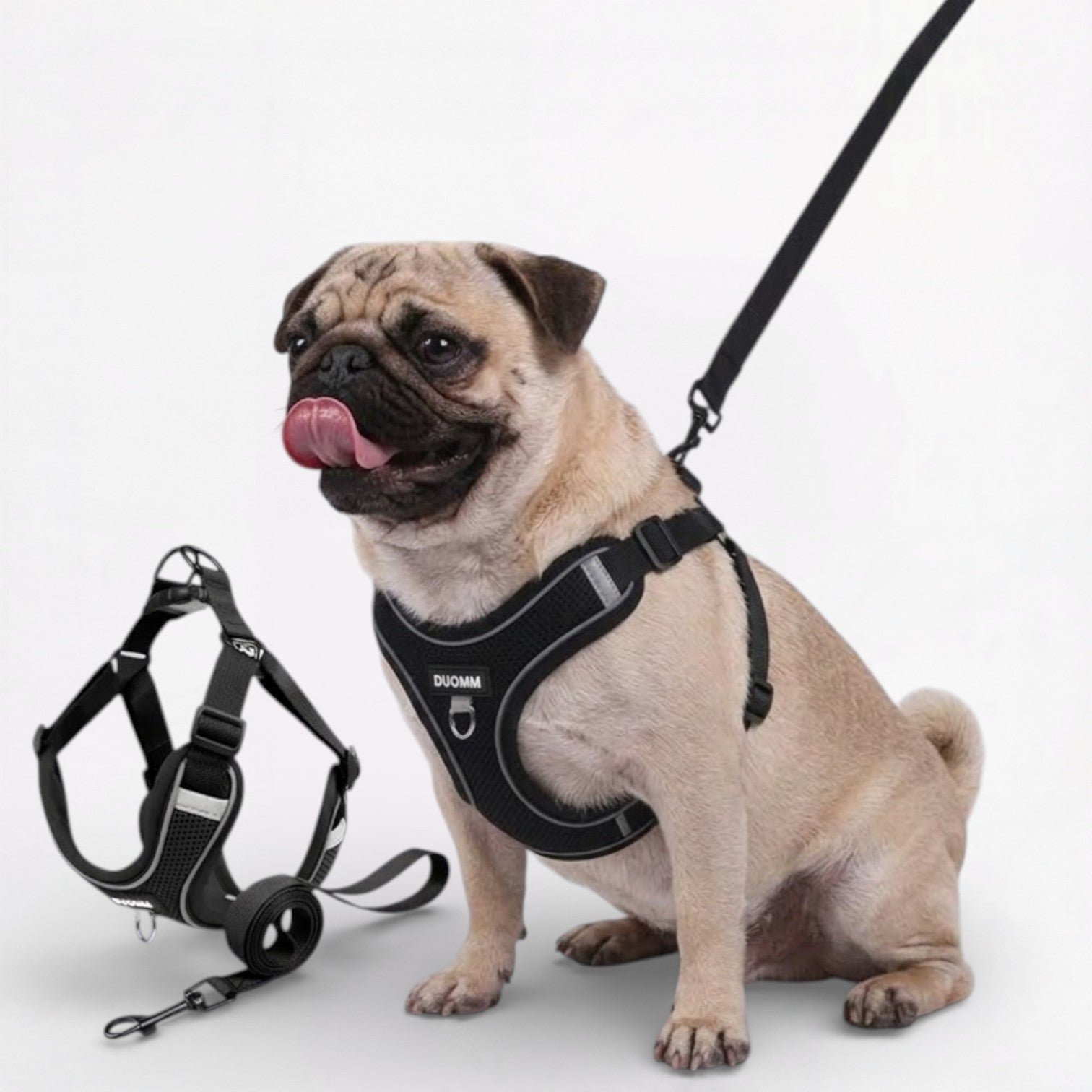 Pupure-Pug-No-Pull-Harness.jpg