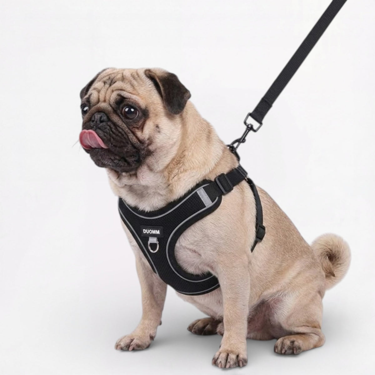 Pupure-Pug-No-Pull-Harness.jpg