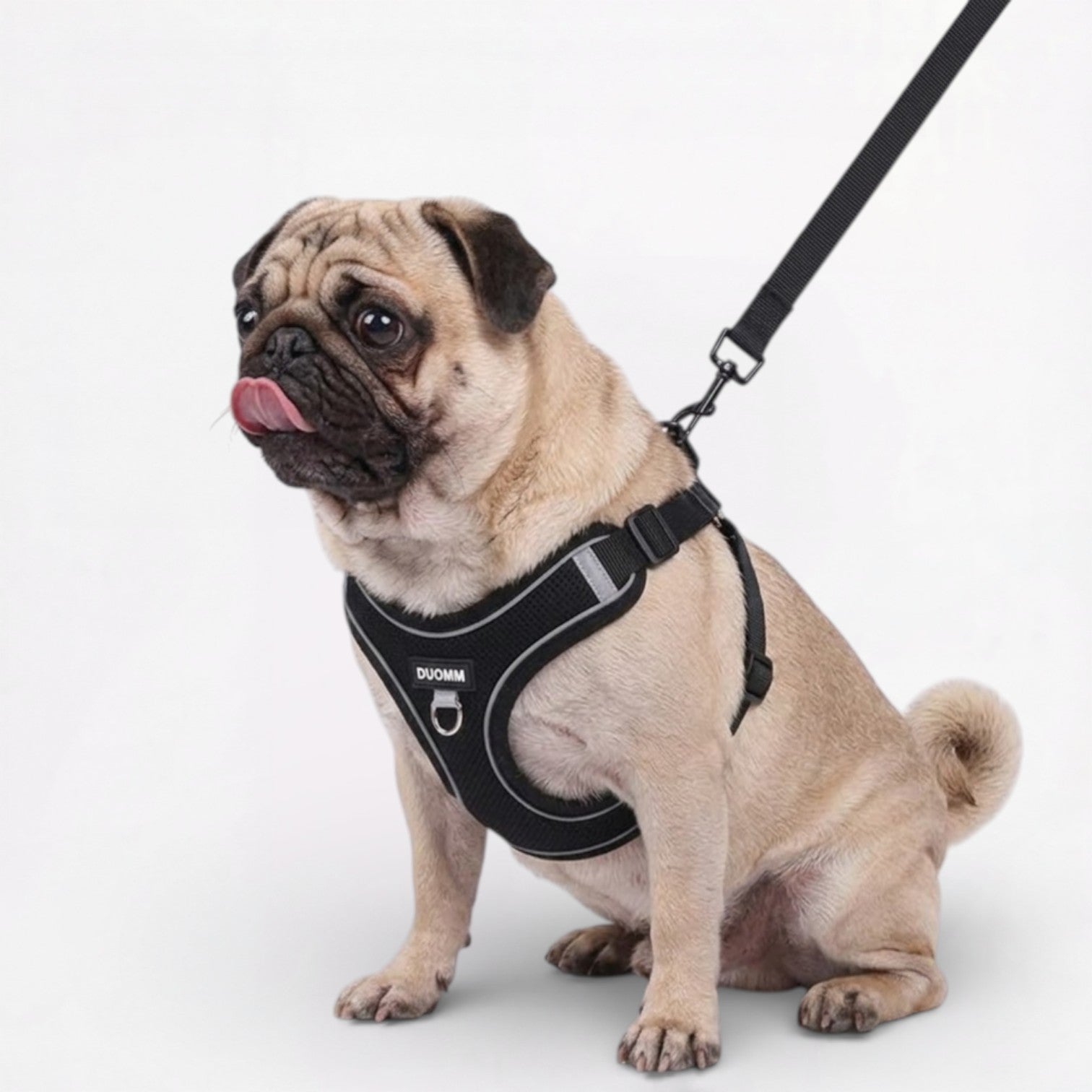 Pupure-Pug-No-Pull-Harness.jpg