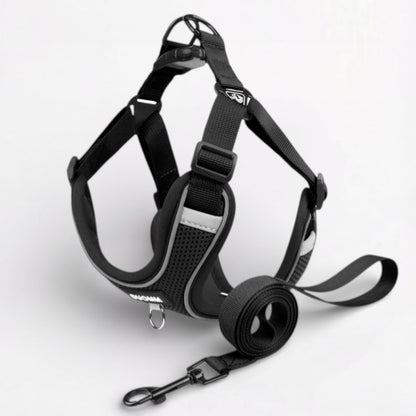 Pupure-Pug-No-Pull-Harness.jpg