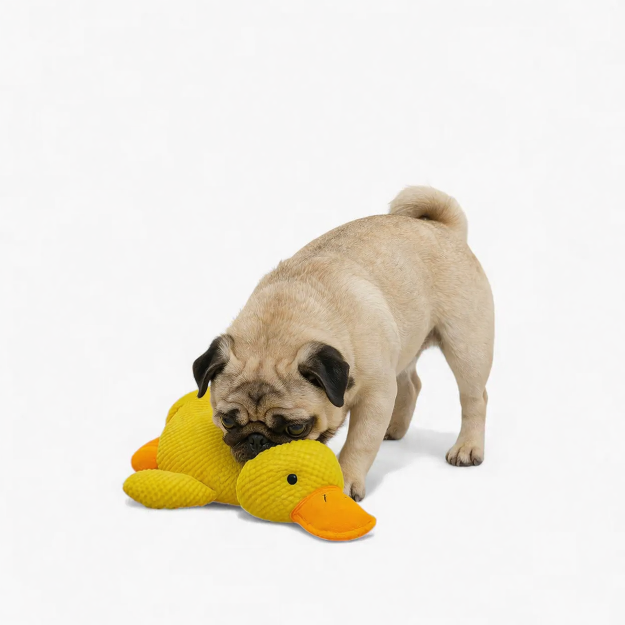 Quackzy-Pug-Duck-Chew-Toy.jpg
