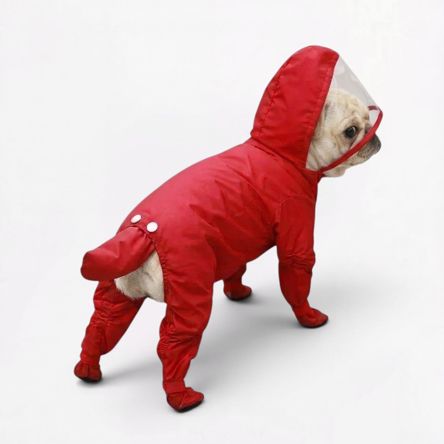 RainPaw-Pug-Full-Body-Raincoat.jpg