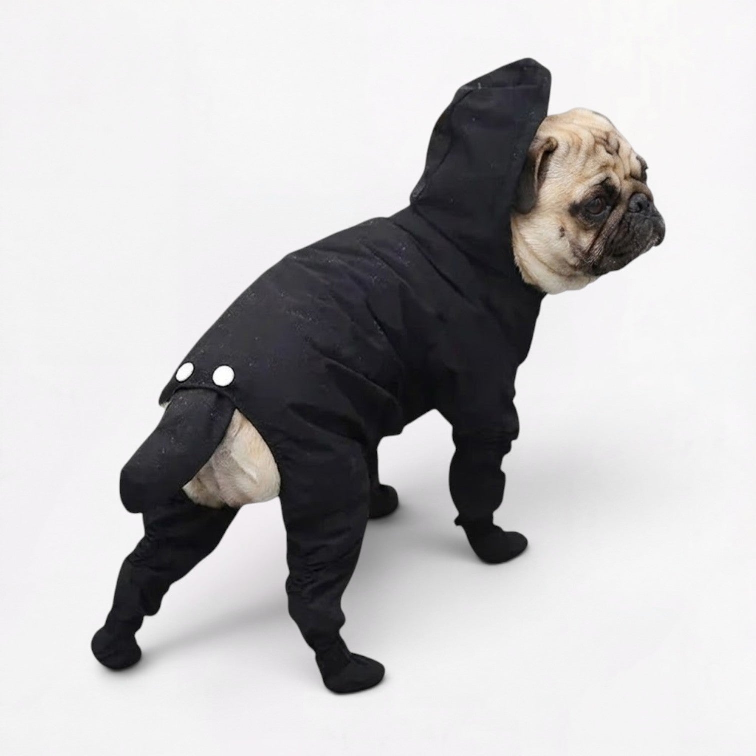RainPaw-Pug-Full-Body-Raincoat.jpg