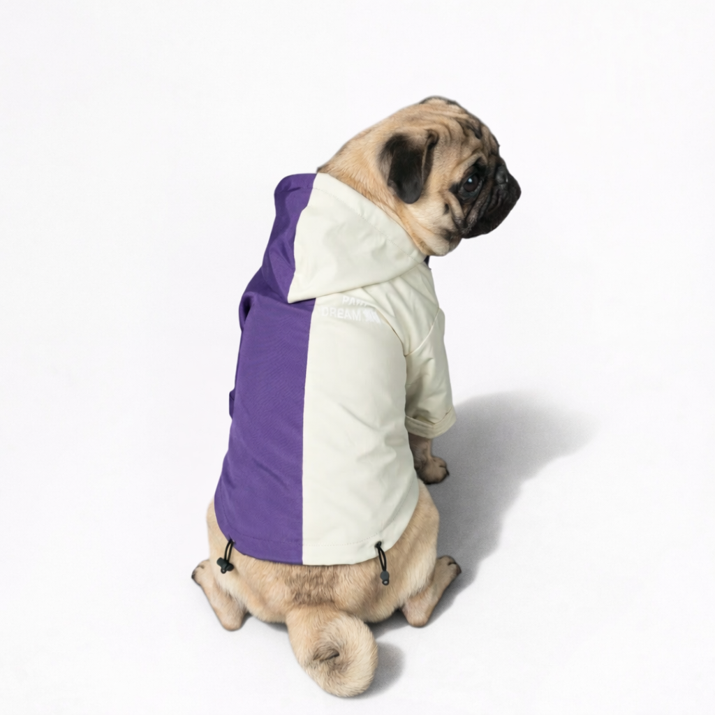 RainPaw-Pug-Raincoat.jpg