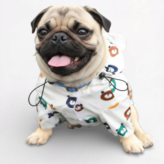 Rainify-Pug-Raincoat.jpg