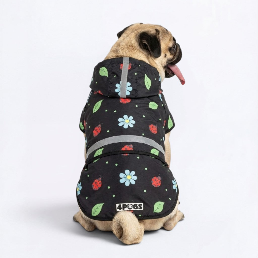 Koda - Reflective Pug Poncho