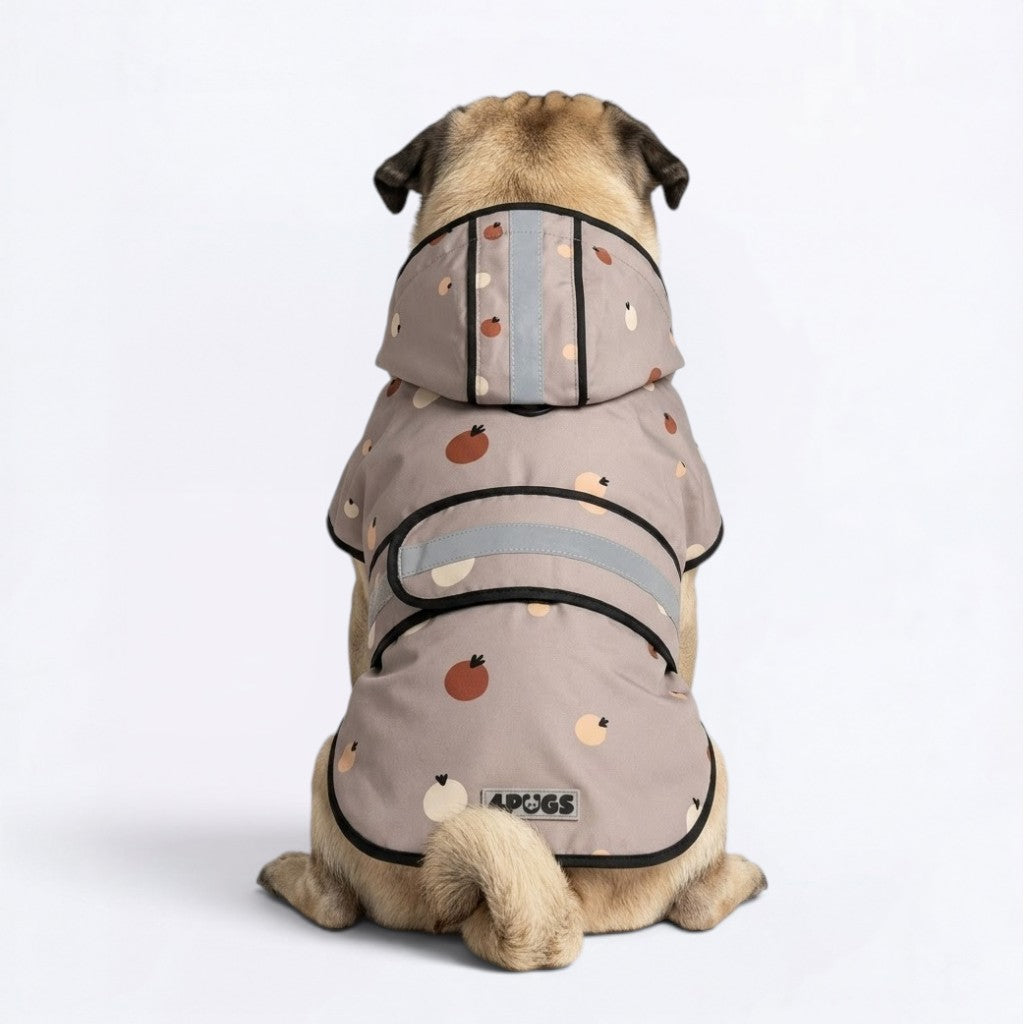 Poppy - Reflective Pug Poncho