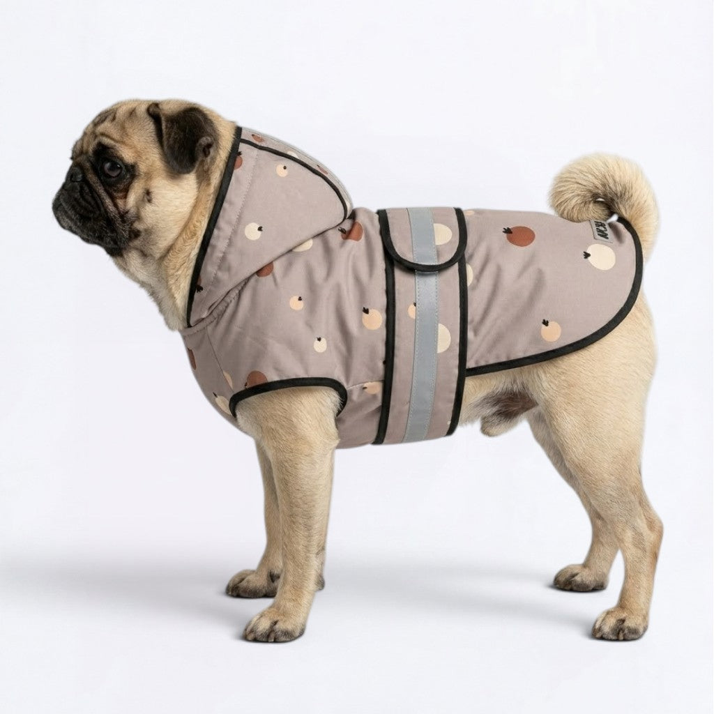 Poppy - Reflective Pug Poncho