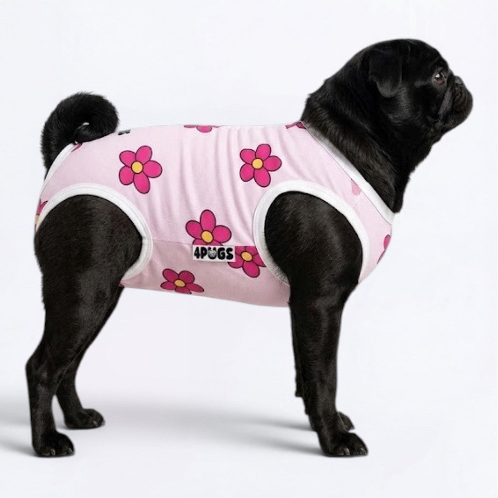 Stormy - Pug Surgery Recovery Suit