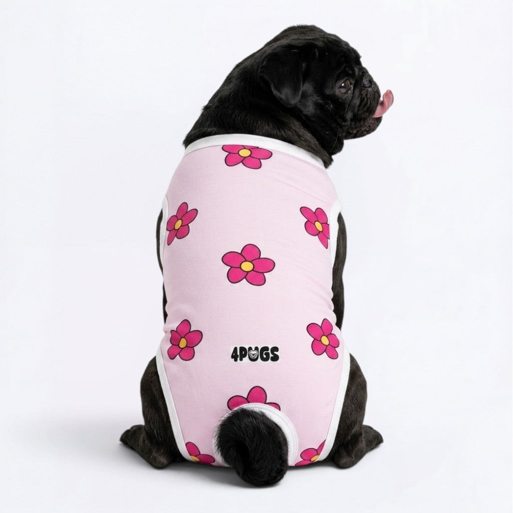 Stormy - Pug Surgery Recovery Suit