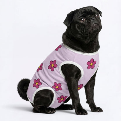 Stormy - Pug Surgery Recovery Suit